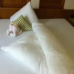 Hotel Alpin Hotel Garni Eder - Private Living