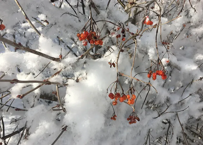 Hotel Alpin Garni Eder - Private Living