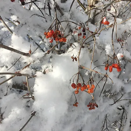 Hotell Alpin Garni Eder - Private Living